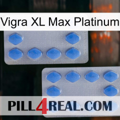 Vigra Xl Max Platinum 20